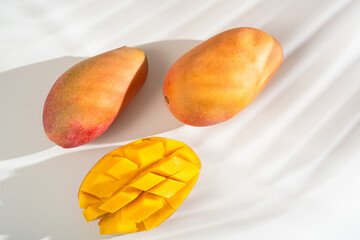 Juicy ripe yellow Thai mango on a white background. Hard light and shadow from a palm tree.