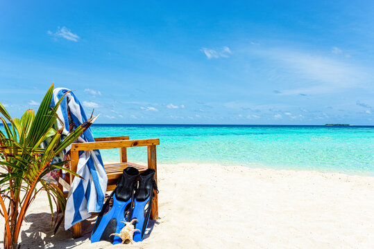 Fins Bilder Durchsuchen 345,876 Archivfotos, und