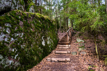 stairs on the eco-trail. stone path. beautiful forest and fresh air. walk between rocks and trees. beauty of the north.