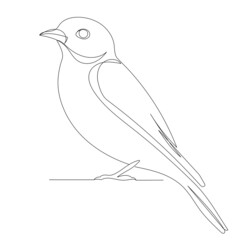 bird drawing in one continuous line