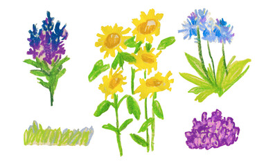 Set of garden illustrations drawn in wax crayons.Holiday,Botanical,Floral clip art hand drawn with oil pastels.Designs for wrapping paper,packaging,notebook covers,textiles,fabric,scrapbooking paper.