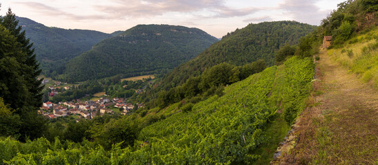 Sentier de découverte sur le vignoble en Palhàs de la vallée de l'Alagnon, Molompize, Cantal, Auvergne-Rhône-Alpes, France