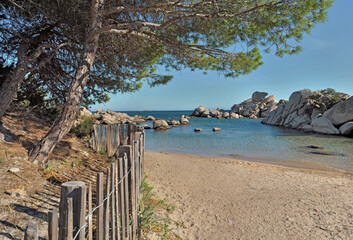 uitzicht op het beroemde strand Palombaggia in Corsica met pijnbomen beschermd door een hek