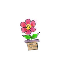 flower in a pot