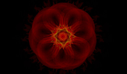 Sfondo nero con fiore frattale rosso © Luciano Pierantoni