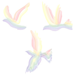 Rainbow bird of freedom. LGBT symbol. vector