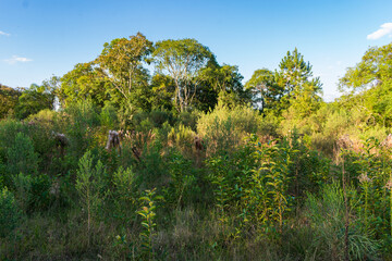 A view of the countryside in Tres Coroas - Rio Grande do Sul state, Brazil
