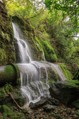 Obraz premium A small waterfall in the New Zealand forest, cascading over an old mossy pipe. Photographed near an abandoned power station on the Maraetotara River, Hawkes Bay