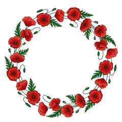 Wreath with red poppy flowers. Round floral frame. Papaver. Green stems and leaves. Hand drawn vector. Isolated on white background.