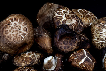 Shiitake Mushroom - The shiitake is an edible mushroom native to East Asia, which is now cultivated and consumed around the globe, Shot using studio setup