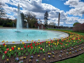 fountain in the park