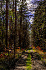 Fototapeta premium Park Narodowy , Ujście Warty, Lubuskie, Gorzów Polska , Łąki , Warta, rzeka, ścieżka dydaktyczna