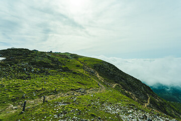 Fototapeta na wymiar 伊吹山から見る美しい緑