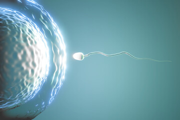Sperm swimming towards the egg in a blue background. 3D Illustration Rendering. - obrazy, fototapety, plakaty