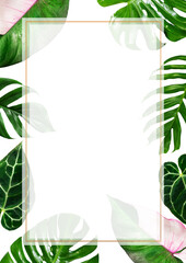 ่jungle background tropical leaves frame rainforest foliage 