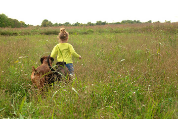 Naklejka na ściany i meble a little girl plays with two dogs on a walk outside the city, she runs through the grass and pets are nearby