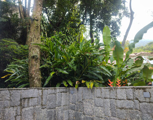 wall forest path floor stone flower foliage tree wood sky cloud blue green colorful nature rockery detail tropical landscape paradise