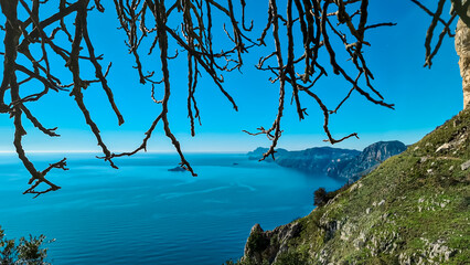 Tree branch in foreground. Scenic view from hiking trail Path of Gods between coastal towns Positano and Praiano, Lattari Mountains, Apennines, Amalfi Coast, Campania, Italy, Europe. Mediterranean Sea