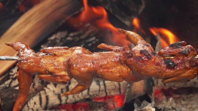 Delicious grilled quail carcasses on the skewer are roasting above the open fire