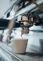 Barista haciendo café, en la cafetería Café di Rosa