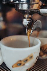 Barista haciendo café, en la cafetería Café di Rosa