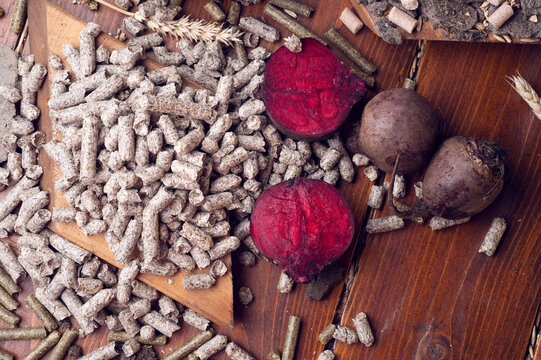 beetroot pulp and molasses (syrup) with fresh beetroot. horsy animal food concept. close up