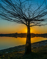 Grande Stream Landscape, Flores, Uruguay
