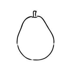 Simple hand-drawn vector black outline drawing. Pear isolated on a white background. Garden fruits, farm products. For prints, labels, markets. Children's coloring.