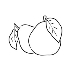 Simple hand-drawn vector black outline drawing. Pear isolated on a white background. Garden fruits, farm products. For prints, labels, markets. Children's coloring.