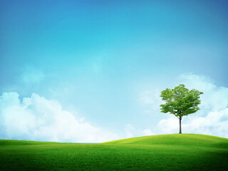 Fototapeta na wymiar Green tree isolated with sunny day and blue sky