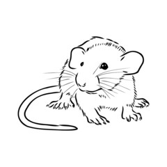 Rat sketch drawn by hand. Black and white vector illustration.
