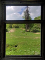 view from the window of a house