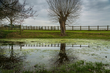 Benbow pond in Herefordshire, England on a cloudy spring day.