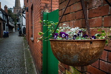 Fototapete bei efototapeten.de bestellen   