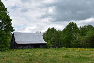 barn in a meadow
