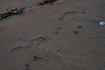 An image of a footprint of a person.
