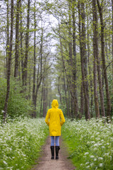 Obraz premium Young woman with yellow raincoat and rubber boots in spring nature