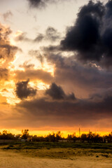 Fototapeta premium cloudy evening sky under the sand of sea beach, Arabat Spit, Ukraine