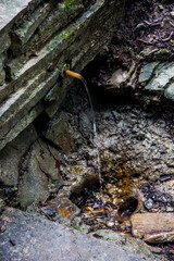 clear minerail water flows from the pipe into the Carpathian forest