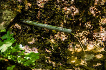 clear minerail water flows from the pipe into the Carpathian forest