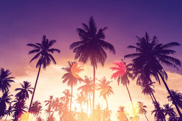 Copy space of silhouette tropical palm tree on sunset sky with bokeh light leak abstract...