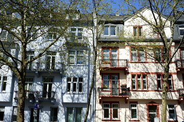 Schöne Altbauten mit sanierten Fassaden in Hellblau, Beige und Naturfarben hinter Bäumen im...