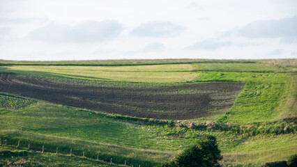 Parcelas de cultivo verde