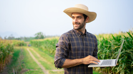 Handsome male farmer Middle Eastern American smiling holding 
 laptop,tablet in corn fields,barley and wheat to use a fertilization log program.Plant growth, production and contact online customer. - obrazy, fototapety, plakaty