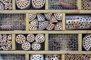 A beautiful wooden insect hotel © Milos