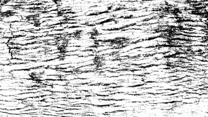 Black white texture of rugged relief fractured bark wood of aged cork oak. Old rough grunge of uneven ridged hard dry crust surface. Deep cut grooved coated layer, convex ornate textured rustic design