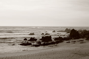 Fototapeta premium beach at sunset portugal sepia photo