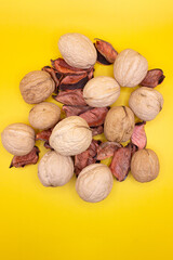 walnuts among dry leaves on a yellow background