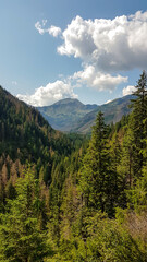 A panoramic view from Krakow Gorge on Tatra Mountains in Poland. The slopes are overgrown with dried grass. Tall and steep mountains around. Outdoor activities. Clear and sunny day.