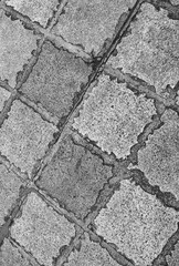Obraz premium Profile Photograph of an Old Sidewalk in Honolulu, Hawaii, 